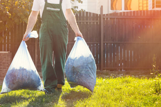 Shed Removal in Harbour Heights, FL